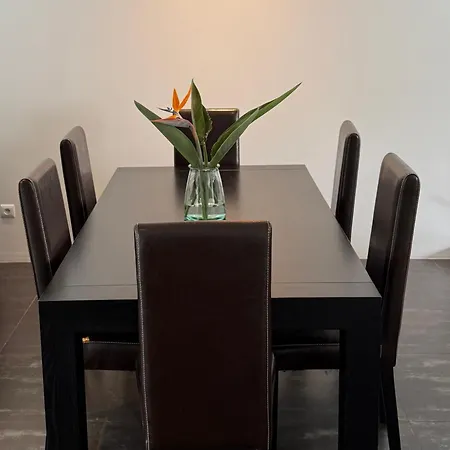 Casa Raiz Semesterbostad *